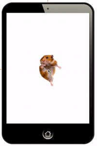 Dancing hamster